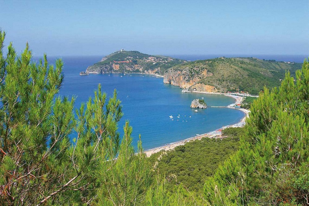 Villaggio Black Marlin